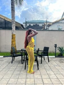 Radiance Mesh Bodycon Dress