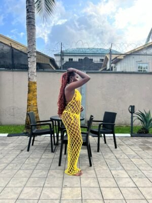 Radiance Mesh Bodycon Dress