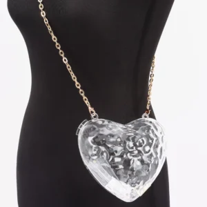 Metallic Acrylic Clutch